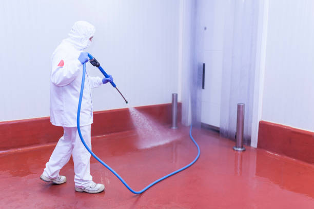 Best Concrete Surface Cleaning in Holbrook, NY